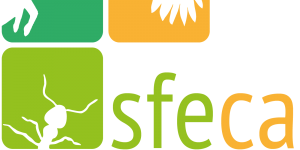 logo sfeca